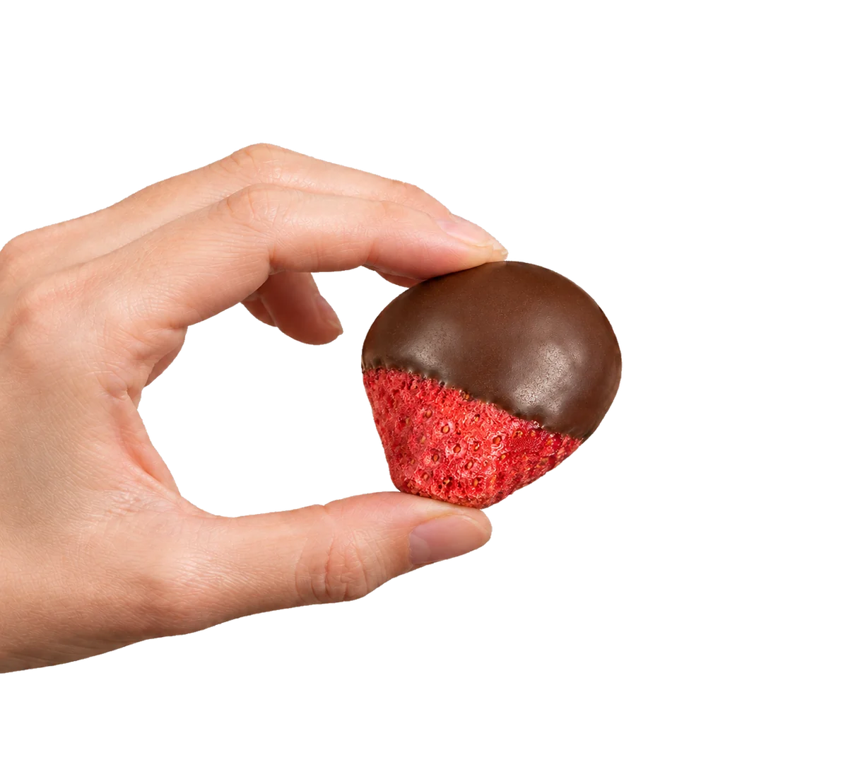 Mão segurando um morango liofilizado drageado com chocolate